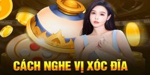 Nghe Vị Xóc Đĩa Là Gì - Cách Dự Đoán Chính Xác 2024