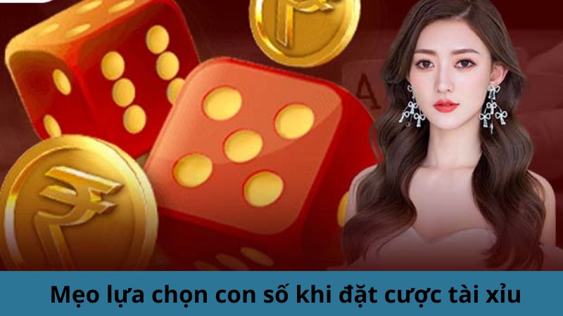 Mẹo lựa chọn con số khi đặt cược tài xỉu