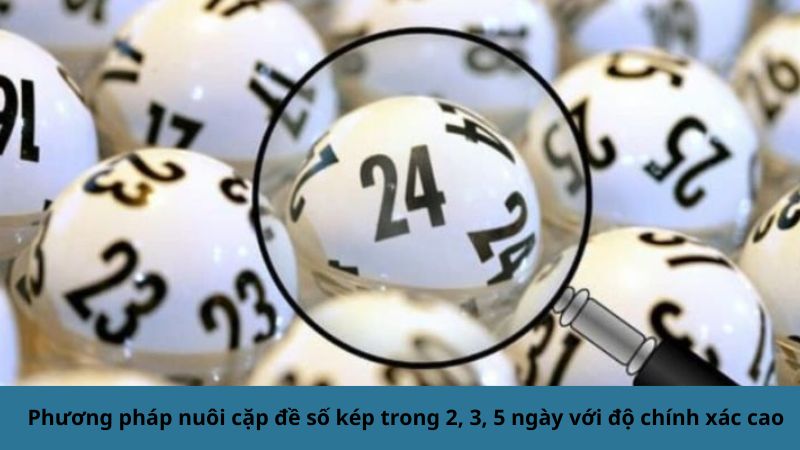 Phương pháp nuôi cặp đề số kép trong 2, 3, 5 ngày với độ chính xác cao